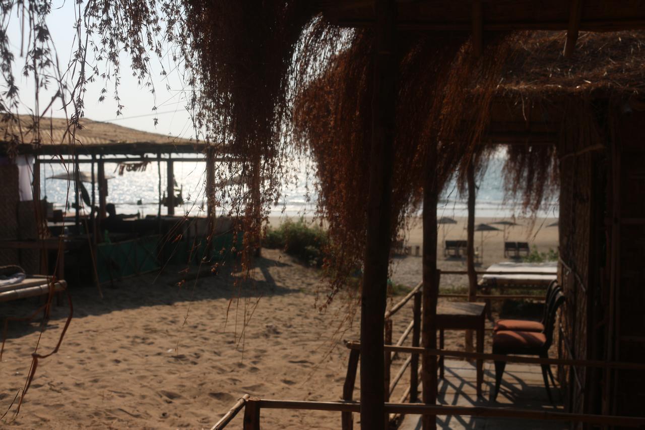 Huts On Arambol Beach Dış mekan fotoğraf
